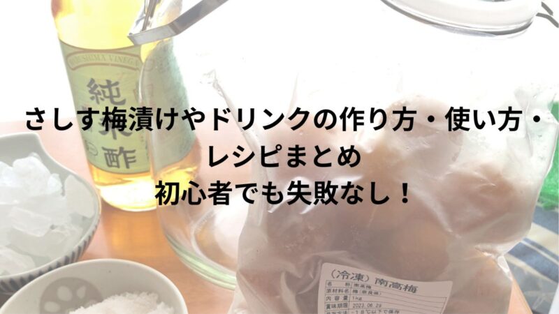 さし酢漬け　さし酢ドリンク　レシピ　使い方