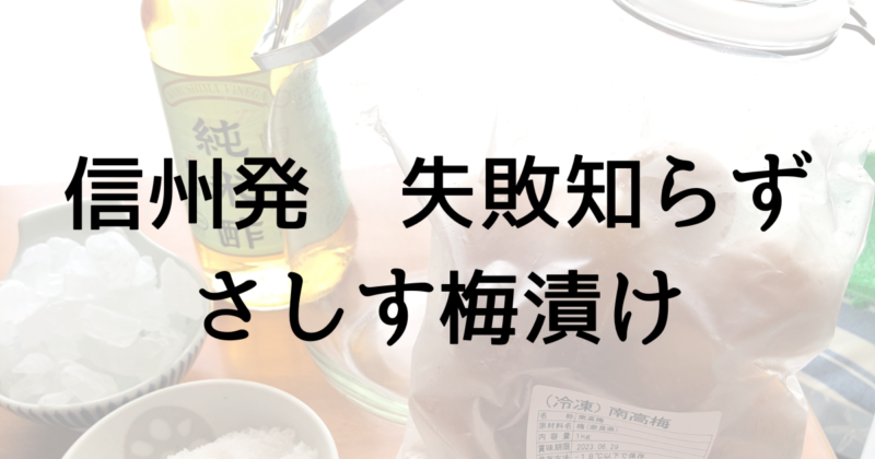 【あさイチレシピ】さしす梅漬け　失敗しらずでおいしい 横山カタ子さん　