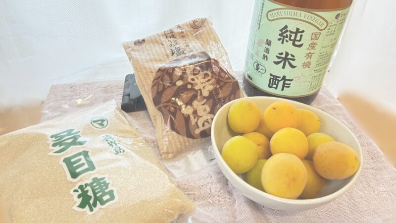さし酢 梅酢ドリンク 材料