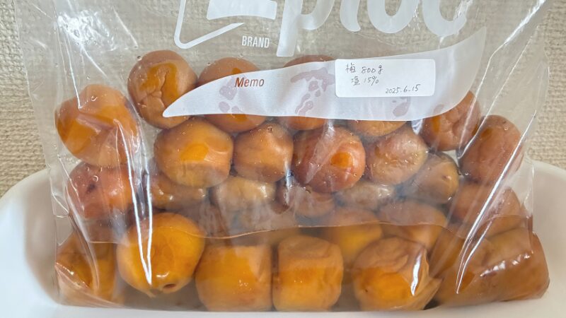 梅 追熟熱湯 したもの