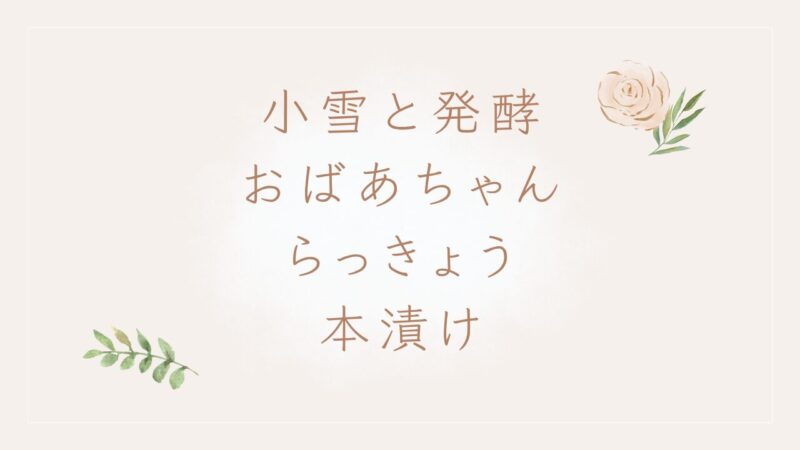 小雪と発酵おばあちゃん らっきょう　本漬け