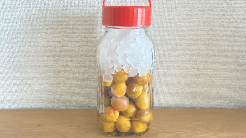自家製梅シロップ